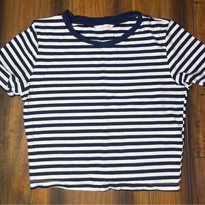 Zara Navy and White Striped Crop Top
